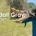 Kendall Gray Net Worth