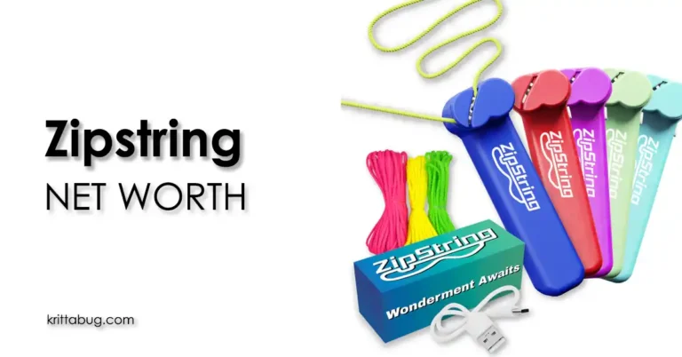 Zipstring Net Worth